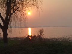 -美味之家·湖景农家乐(太湖东山店)