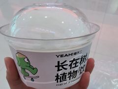 -椰不二(江北大洋百货店)