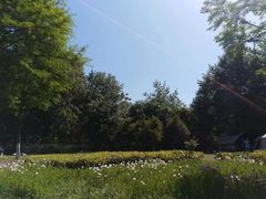 -长广溪湿地公园