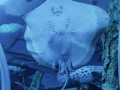 -珠海长隆海洋王国