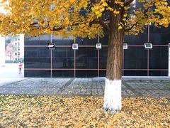 -四川大学(望江校区)