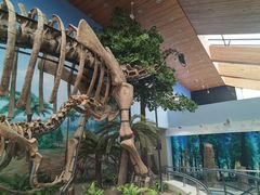 -延庆地质公园博物馆