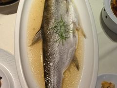 -席家花园(巨鹿花园店)