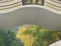 -岳麓山风景名胜区