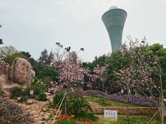 -狐尾山公园