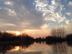 -溱湖国家湿地公园