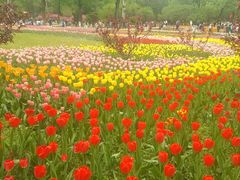 -北京植物园南门售票处