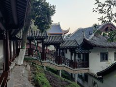 -茶颜悦色(岳麓山顶店)