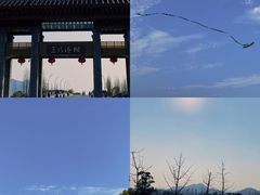 -三垟湿地