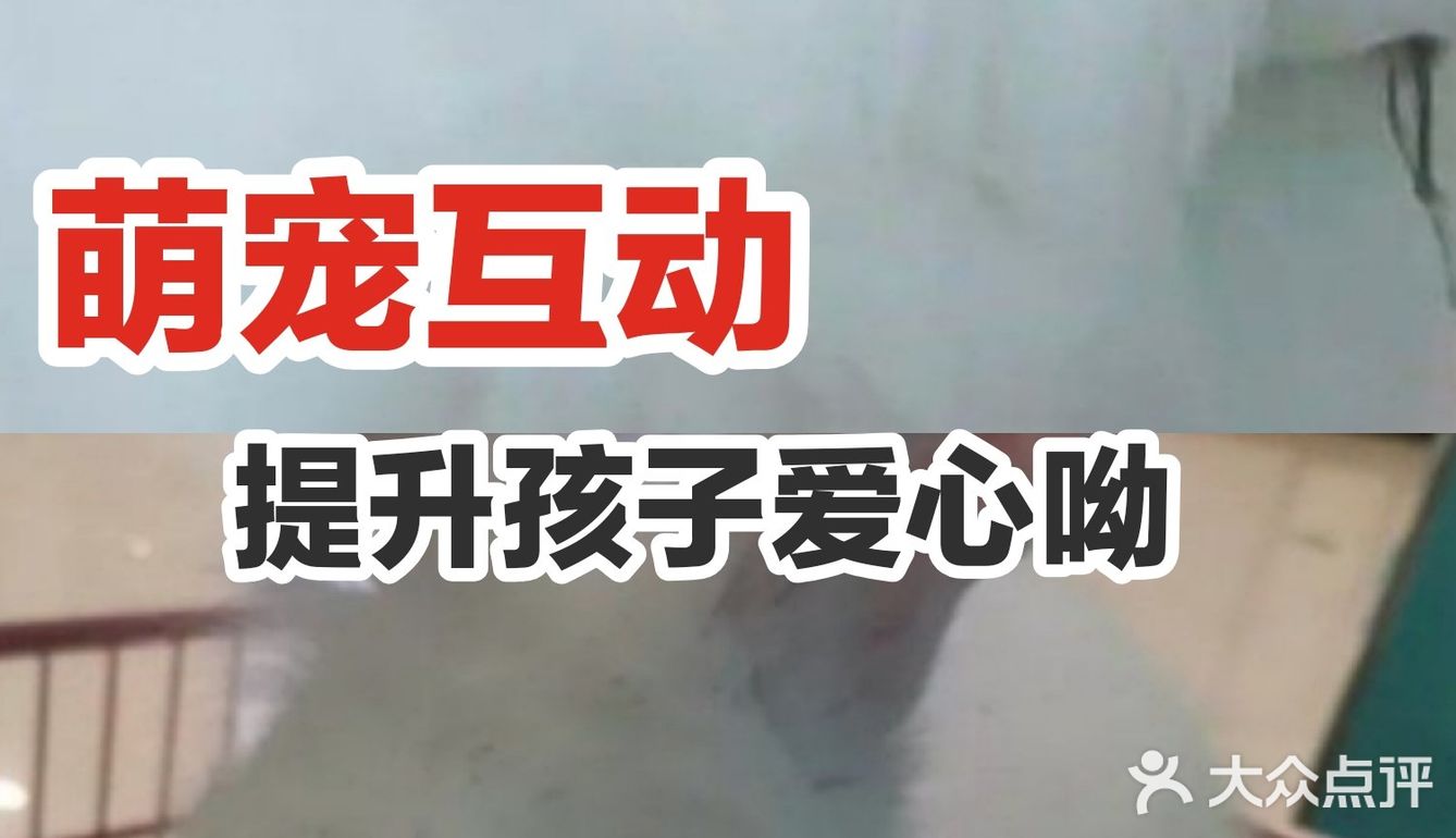 萌宠互动，提升孩子爱心呦