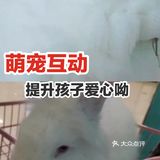 萌宠互动，提升孩子爱心呦