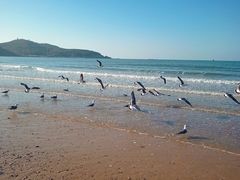 -金海滩海水浴场