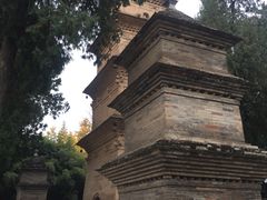 -兴教寺