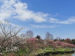 -上海海湾国家森林公园