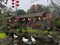 -青城甲(青城山店)