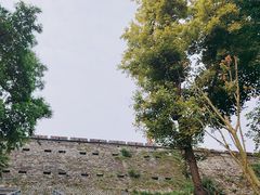 -南京城墙景区