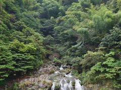 -长谷洞天