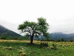-石棉县孟获城