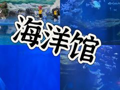 -多彩贵州城极地海洋世界