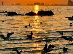 -老虎石海上公园