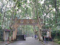 -灵谷景区
