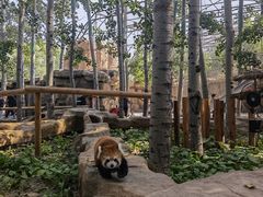 -北京野生动物园