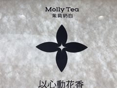 -茉莉奶白(天水秦州万达广场店)