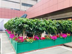 -北京中国大饭店