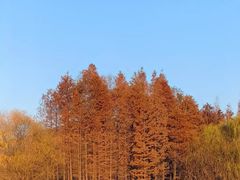 -云龙湖旅游景区