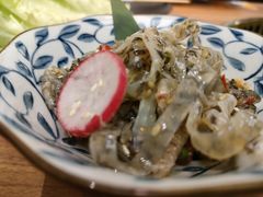 凉拌鱼皮-鹤汀居酒屋•家庭料理•烧鸟酒肆(新街口店)