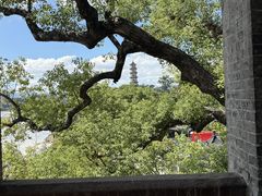 -江心屿景区