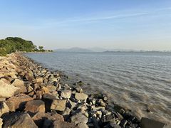 -深圳湾公园(南山区)
