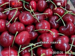 -盒马鲜生(首义店)