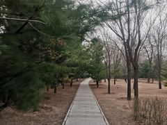 -森林公园(尖草坪区)