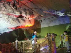 -恐龙探索乐园(磁器口店)