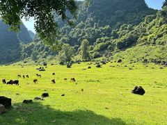 -香桥岩溶国家地质公园