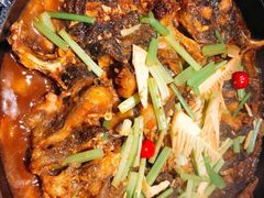 -老板恋上鱼(恒隆广场店)