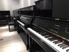 -属音琴行(成山路店)
