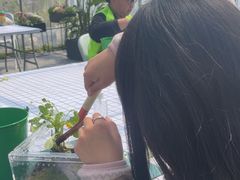 -嘉北郊野公园