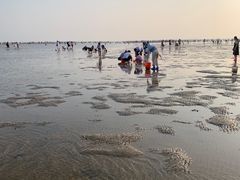 -刘家湾赶海园
