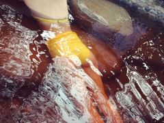 涵田度假村酒店-天目湖涵田度假村