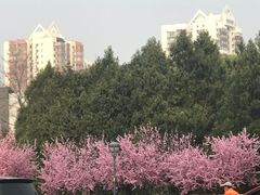 -北京中医药大学东方医院(方庄院区)