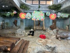 -海南热带野生动植物园