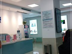 -北京观赏动物医院·24小时大型综合·猫专科·异宠专科