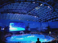 -海合安武汉极地海洋公园