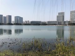 -尚贤河湿地