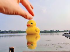 -深圳人才公园