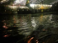 景点-运河游船(武林门码头)