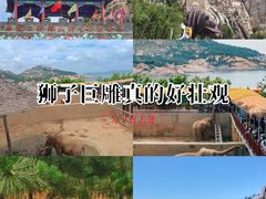 -西霞口神雕山野生动物世界