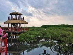 -北海金海湾红树林生态旅游区